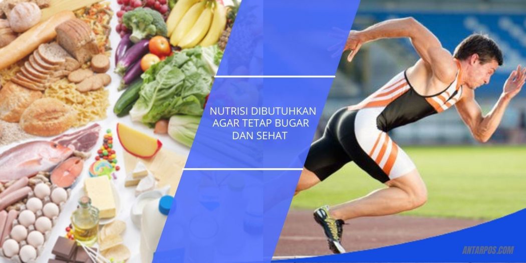 Pentinya Nutrisi Untuk Atlet, Memahami Tingkat Energi Dan Diet Kaya